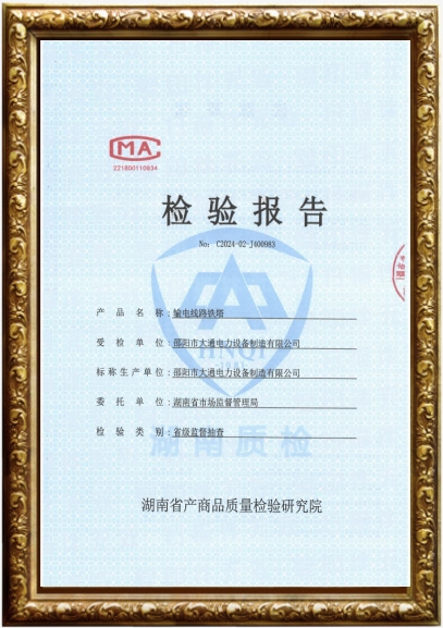 110Kv输电线路铁塔检测报告